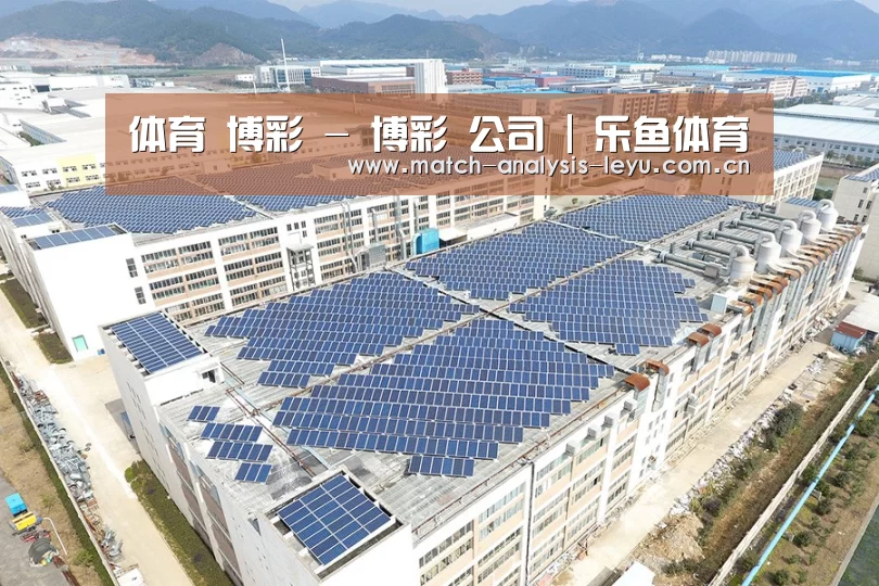 案例展示一