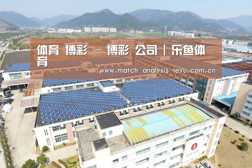 案例展示四
