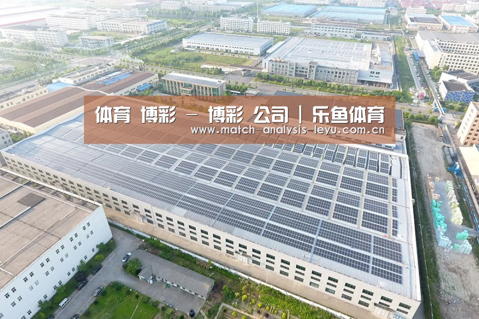 案例展示三