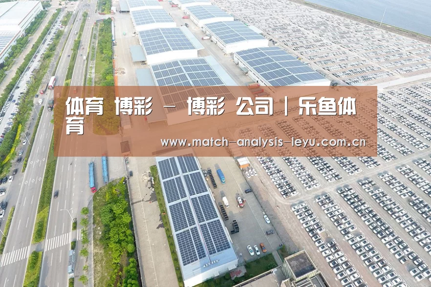 案例展示一