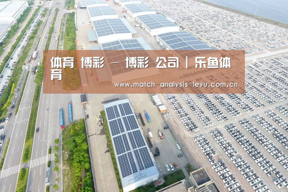 案例展示二