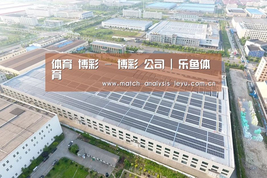 案例展示四