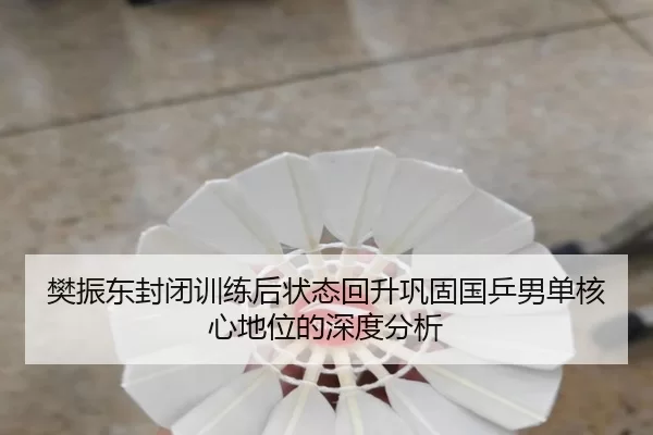 樊振东封闭训练后状态回升巩固国乒男单核心地位的深度分析