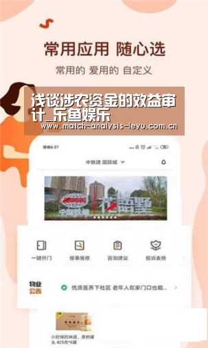 浅谈涉农资金的效益审计_乐鱼娱乐(图2) 乐鱼
