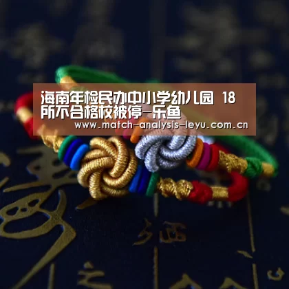 海南年检民办中小学幼儿园 18所不合格校被停-乐鱼(图4) 乐鱼娱乐