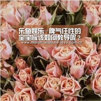 乐鱼