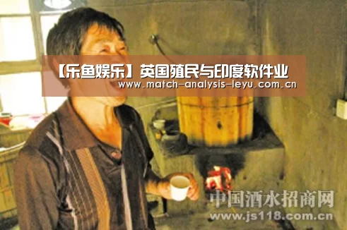 【乐鱼娱乐】英国殖民与印度软件业(图1) 乐鱼