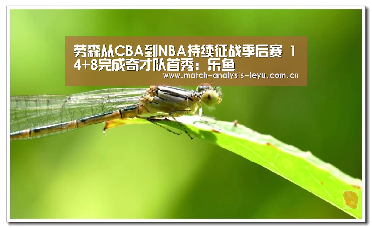 劳森从CBA到NBA持续征战季后赛 14+8完成奇才队首秀:乐鱼(图1) 乐鱼