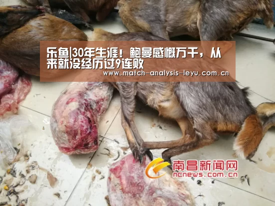 乐鱼娱乐